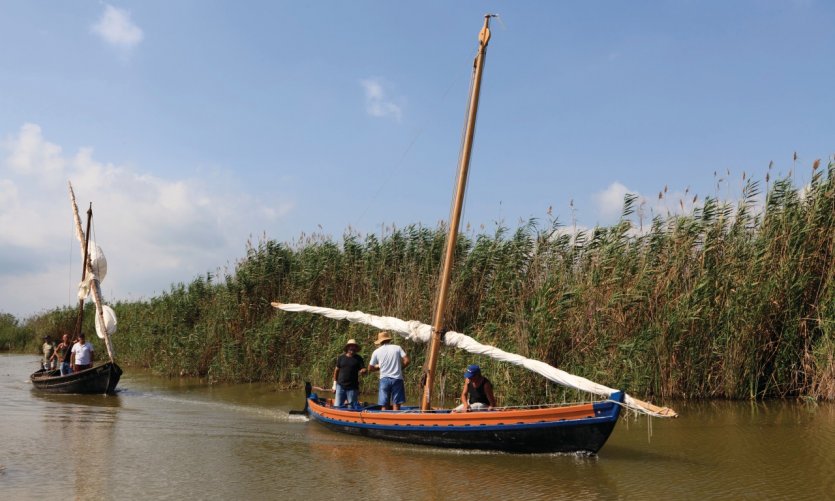 Parc naturel de la Albufera, lagune d'eau douce. Parc naturel de la Albufera, lagune d'eau douce.