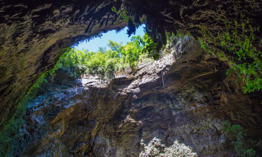 Parque de las cavernas del Rio Camuy. Parque de las cavernas del Rio Camuy.