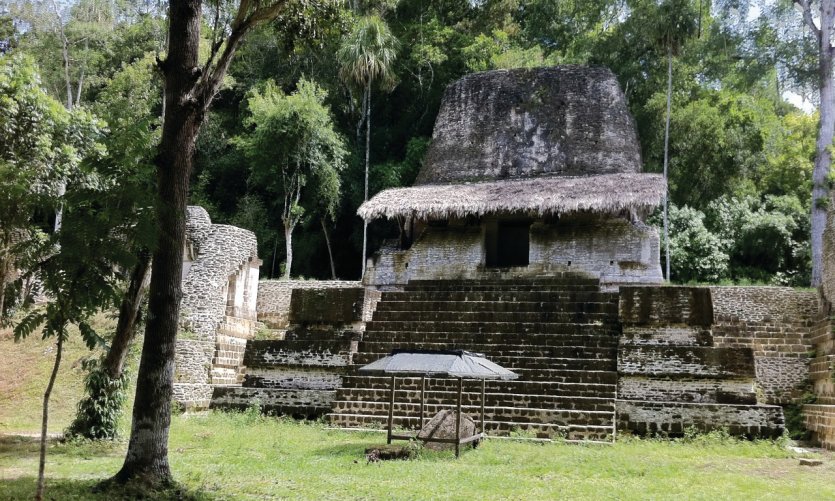 Site précolombien de Tikal. Site précolombien de Tikal.