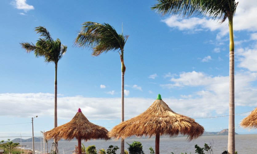 Cocotiers et tables de picnic au bord du Lac de Managua. Cocotiers et tables de picnic au bord du Lac de Managua.