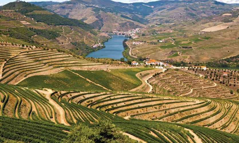 <p>Douro e du Douro, pre-s of Pinha salobreña o.</p> <p>Douro e du Douro, pre-s of Pinha salobreña o.</p>