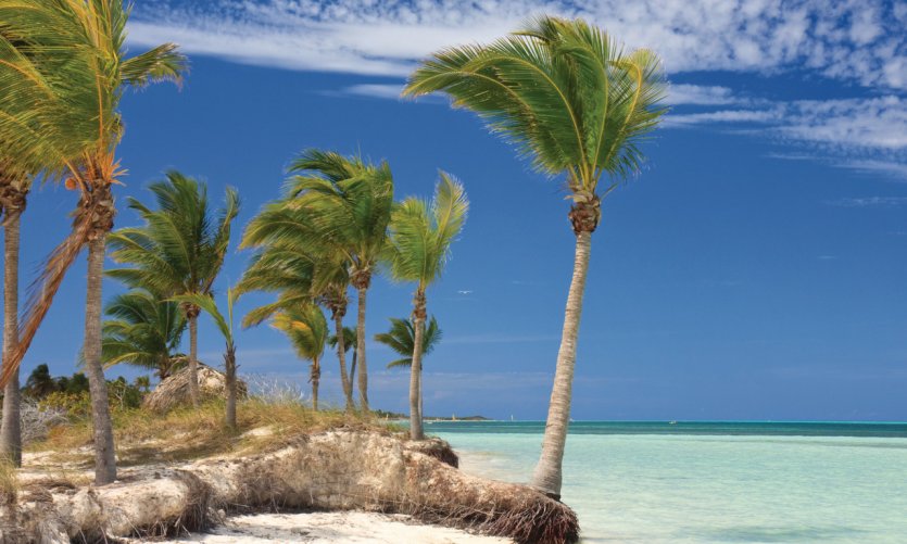 Plage tropicale de Cuba. Plage tropicale de Cuba.