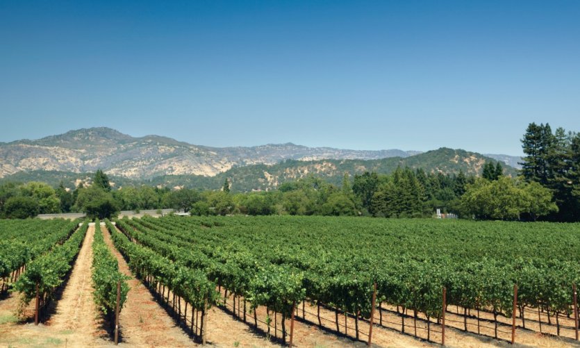 Yountville. Yountville.