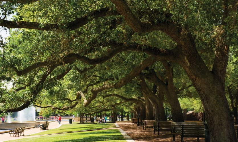 <p>Hermann Park, Houston.</p> <p>Hermann Park, Houston.</p>