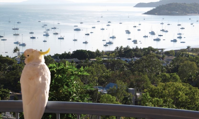 Airlie Beach, Australie. Airlie Beach, Australie.
