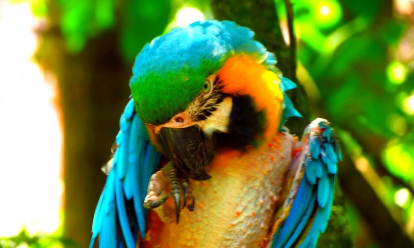Rencontre colorée. Rencontre colorée.