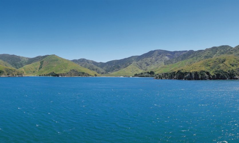 Entre Ile du Sud et Ile du Nord, arrivée à Nelson Entre Ile du Sud et Ile du Nord, arrivée à Nelson