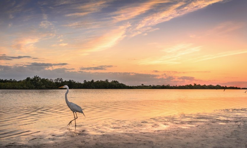 Marco Island. Marco Island.