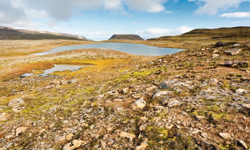 <p>Péninsule de Vatnsnes.</p> <p>Péninsule de Vatnsnes.</p>