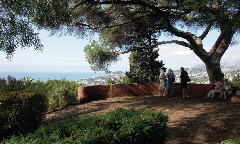 Jardín botánico, terraza panorámica con vistas sobre Funchal. Jardín botánico, terraza panorámica con vistas sobre Funchal.