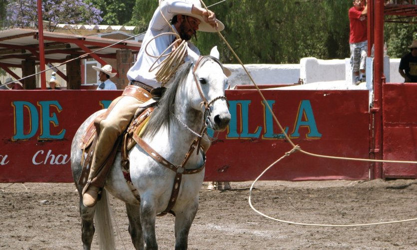 <p>Spectacle de charrería à Mexico.</p> <p>Spectacle de charrería à Mexico.</p>