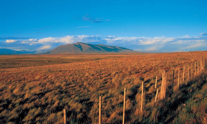 <p>El Calafate.</p> <p>El Calafate.</p>