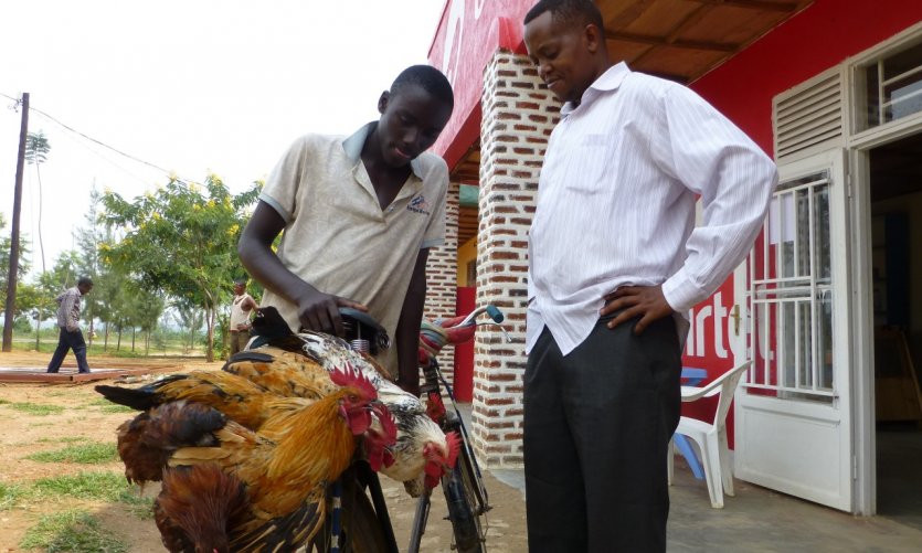 <p>Vendeur de poules près de Nyamata.</p> <p>Vendeur de poules près de Nyamata.</p>
