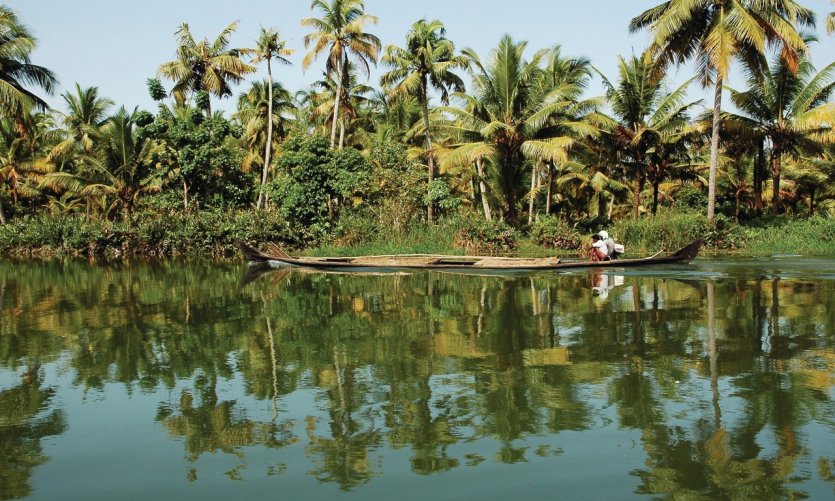 Paysage près d'Alleppey. Paysage près d'Alleppey.