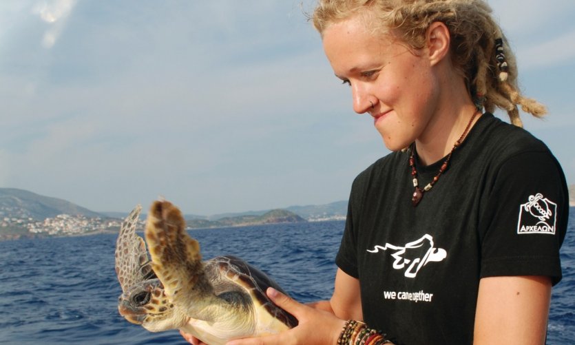 Protection of turtles by Archelon. Protection of turtles by Archelon.