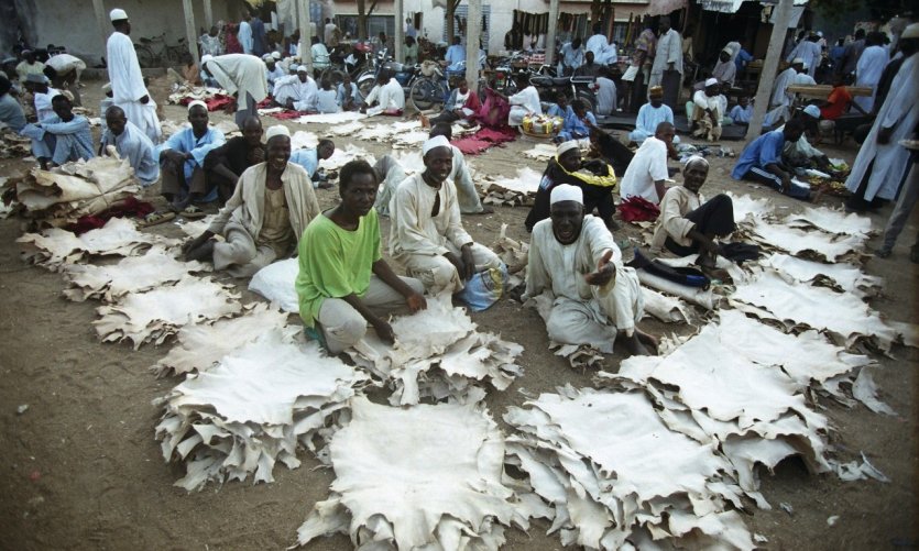 Le marché aux tanneurs de Maroua. Le marché aux tanneurs de Maroua.