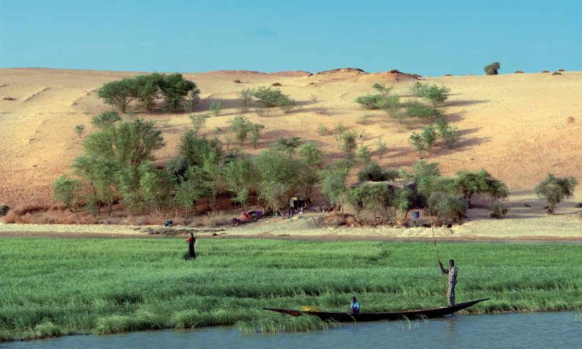 <p>Entre Tombouctou et Gao, les dunes plongent dans le lit fertile du fleuve</p> <p>Entre Tombouctou et Gao, les dunes plongent dans le lit fertile du fleuve</p>