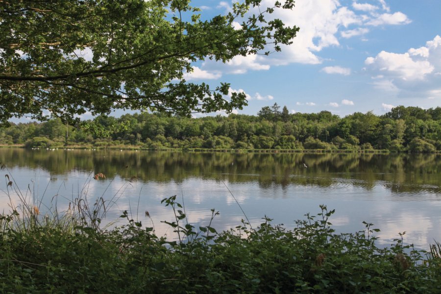 La Sologne offre un cadre verdoyant pour faire de la randonnée. sosobuzuk - iStockphoto.com