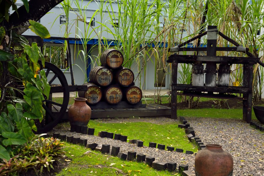 Distillerie Brugal. Reimar - Shutterstock.com