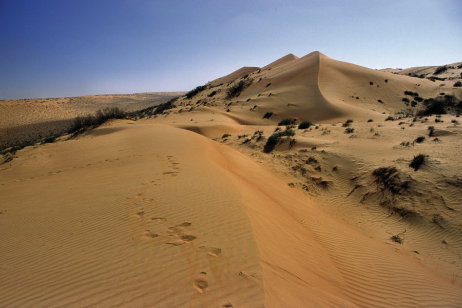 Les dunes de Wahiba (Wahiba Sands). Sylvie LIGON