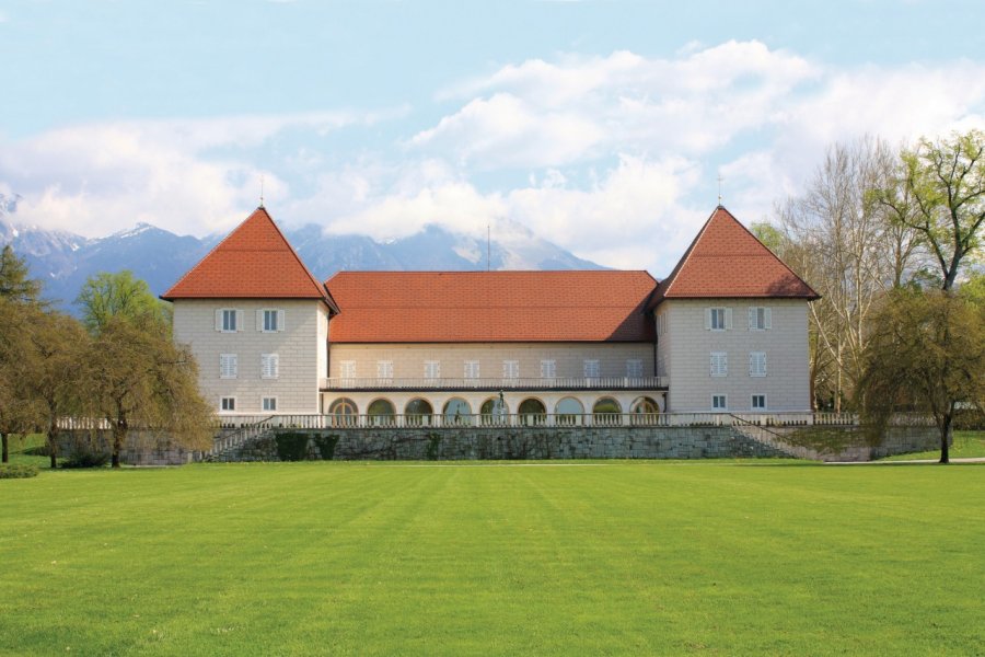 Château de Brdo. Grasko - Fotolia