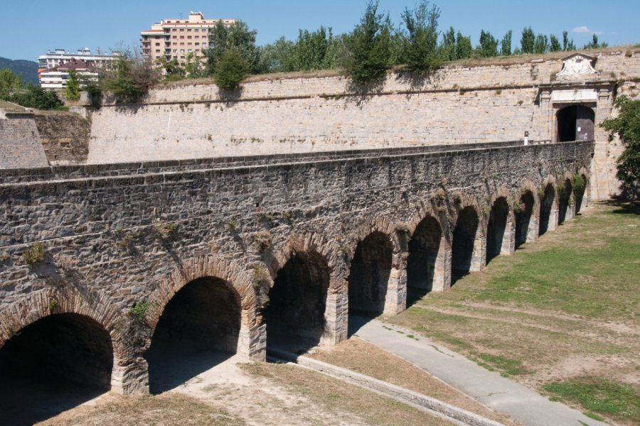 Citadelle de Pampelune. Alce - Fotolia