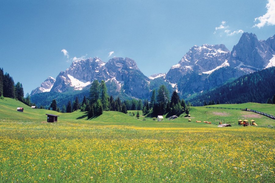 Paysage de Sappada. Author's Image