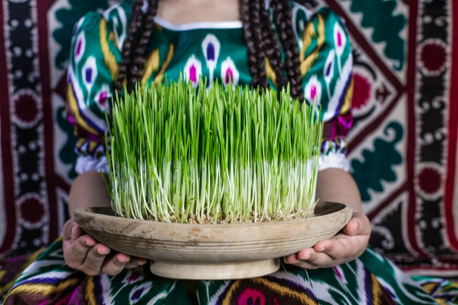 Fête du printemps. (Navruz) Alisher Primkulov - shutterstock.com