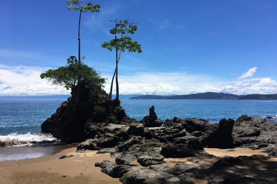 Les criques paradisiaques à proximité de Drake Bay. Jean-Baptiste THIBAUT