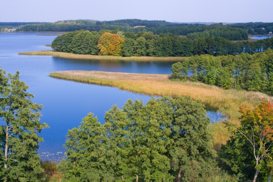 Lac Wigry, Wigierski Park Narodowy. CCat82 - stock.adobe.com