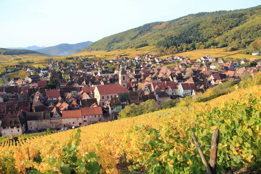 Riquewihr, au coeur du vignoble alsacien. ISO-68