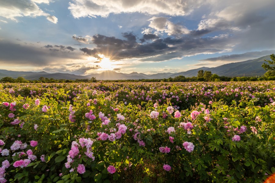 Coucher de soleil sur la vallée des Roses. nikolay100 - Shutterstock.com