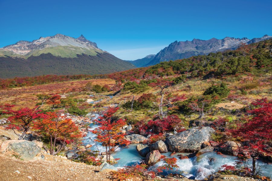 Parc national Tierra del fuego. neurobite_istockphoto.com