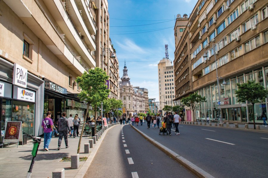 Calea Victoriei. aaddyy - Shutterstock.com