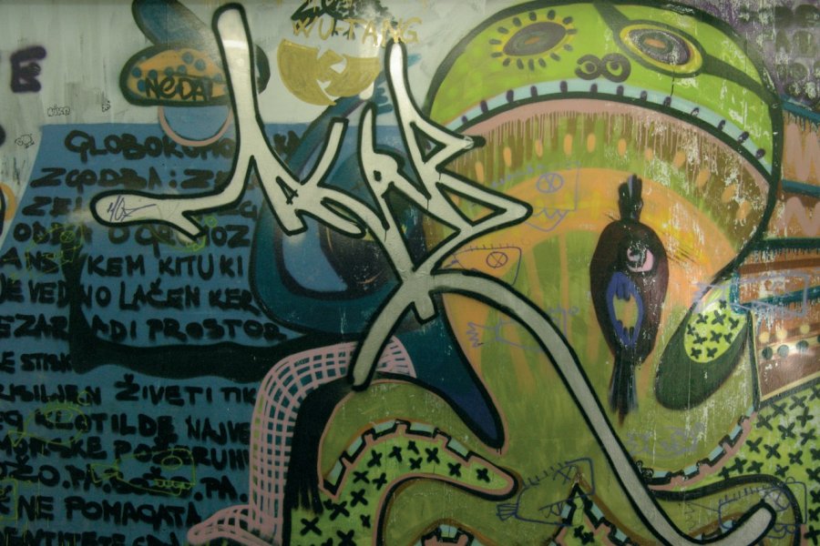 Fresque murale dans un souterrain de la ville. Stéphan SZEREMETA