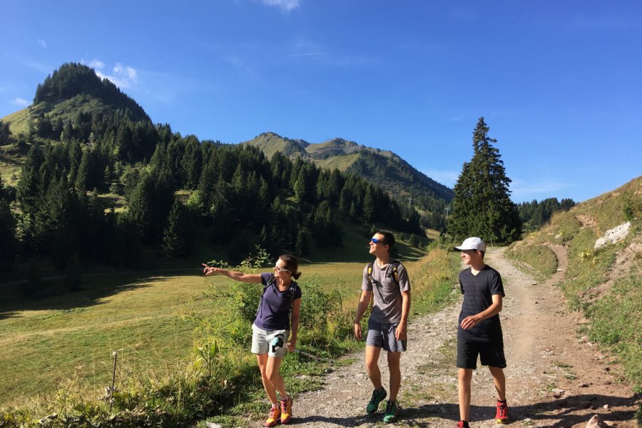 La station de Praz-de-Lys--Sommand est propice aux randonnées. Praz de Lys Sommand Tourisme