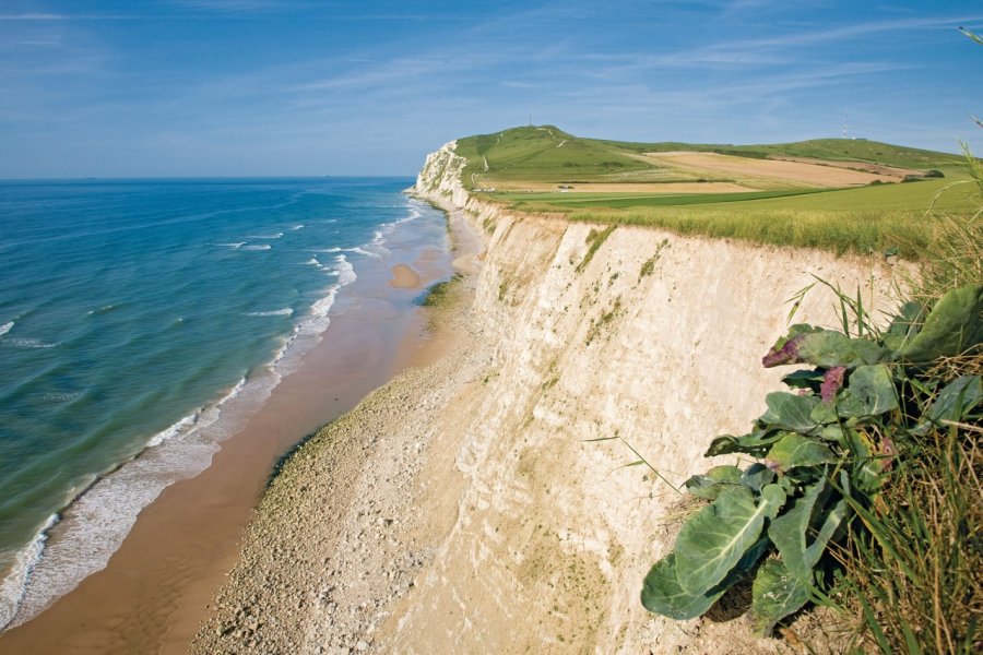 Les falaises du cap Blanc-Nez (© Olivier LECLERCQ))