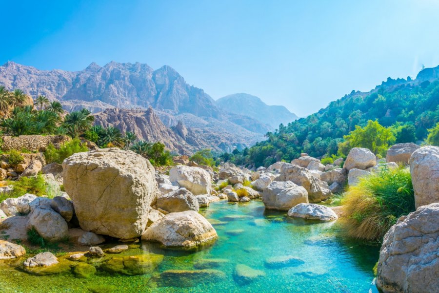 Wadi Tiwi. trabantos - Shutterstock.com