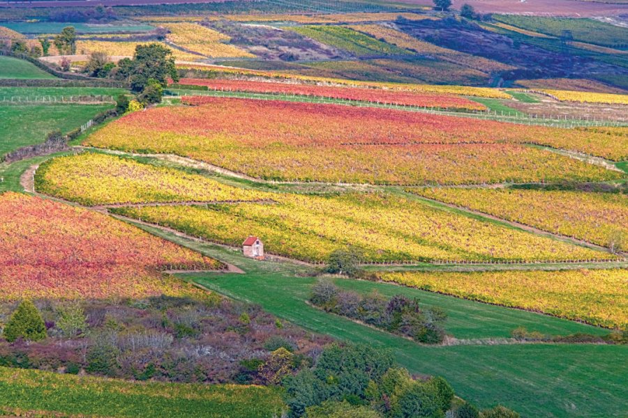 Vignoble couchois. Grand Autunois tourisme - Jean-Marc SCHWARTZ