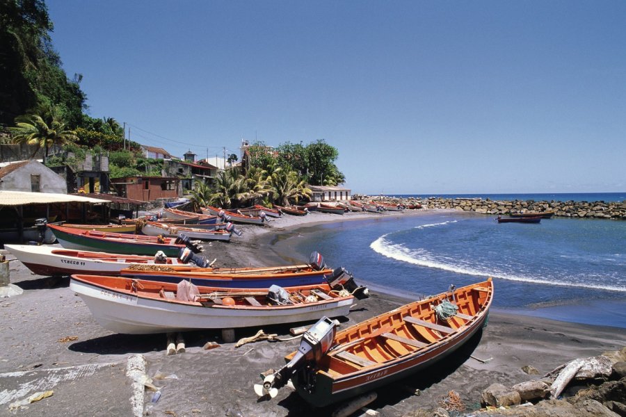 Petit port de pêche de Grand-Rivière. (© Author's Image))