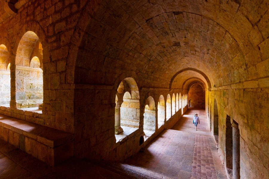 L'abbaye cistercienne du Thoronet. Juan Carlos Munoz - Shutterstock.cm