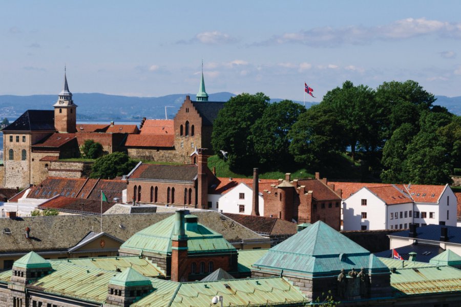 Vue générale d'Oslo. Serge OLLIVIER - Author's Image