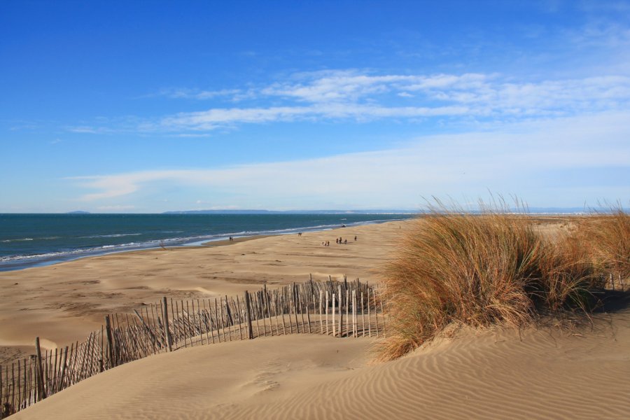 La plage de l'Espiguette. Picturereflex - Shutterstock.com