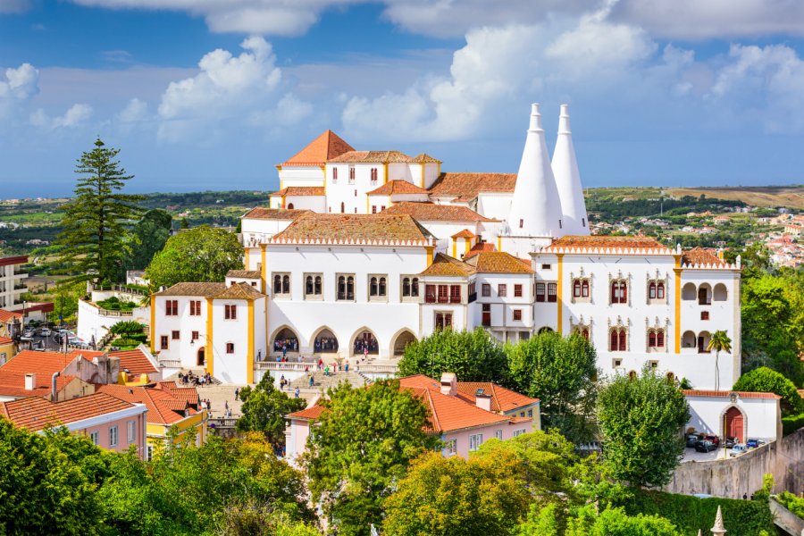 Palais royal de Sintra. Sean Pavone - Shutterstock.com