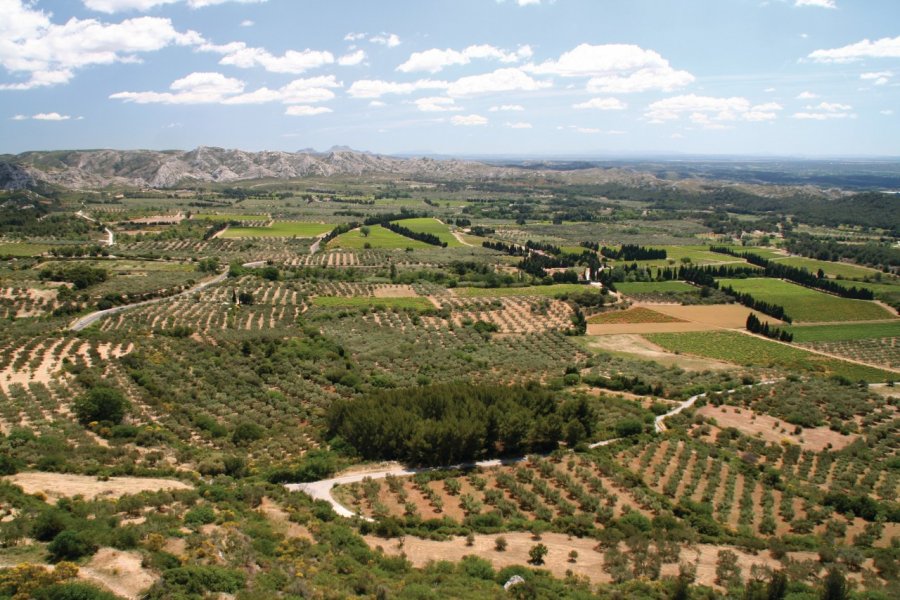 La chaîne des Alpilles et ses champs d'oliviers près des Baux-de-Provence. Stéphan SZEREMETA