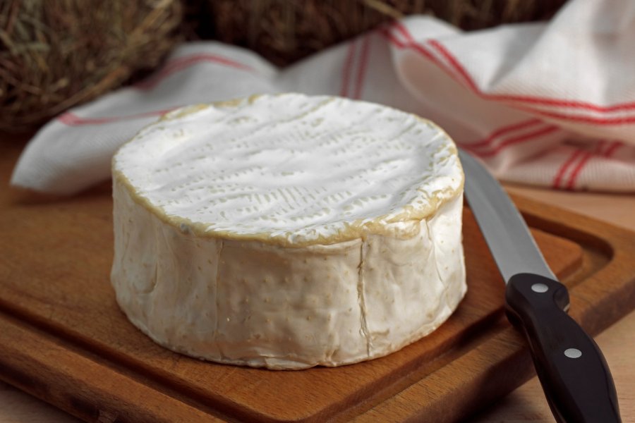 Brillat-savarin. slowmotiongli - Shutterstock.com