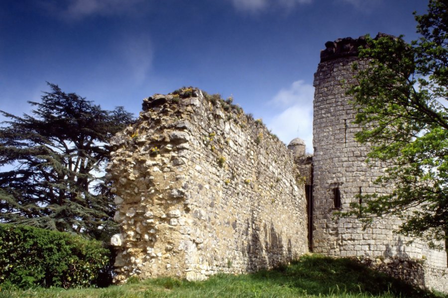 ruined chateau vendome loire valley france David Hughes