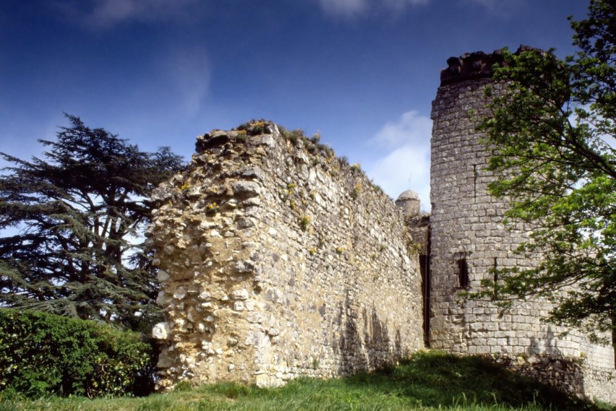 ruined chateau vendome loire valley france (© David Hughes))