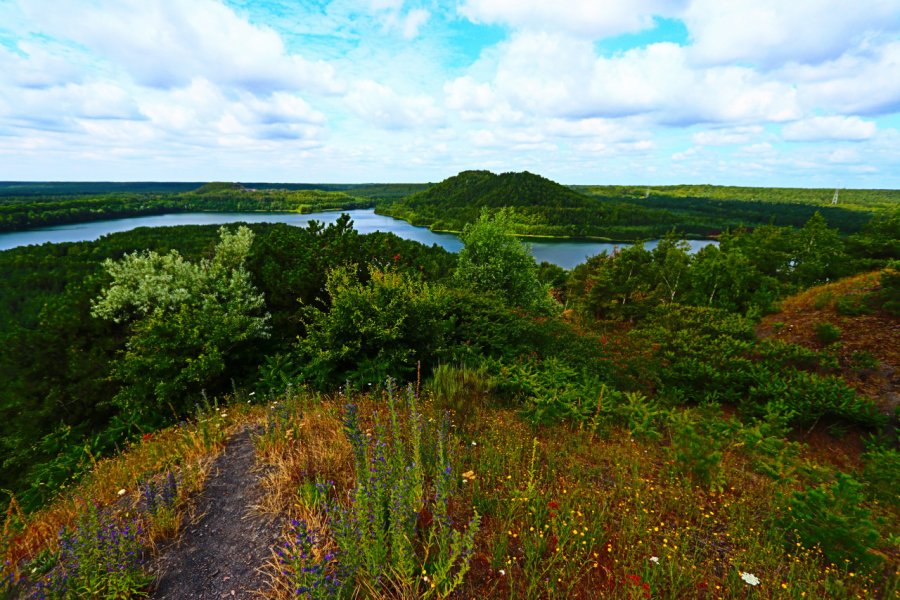 Parc national de la Haute Campine. Christelle Roubin - iStockphoto.com