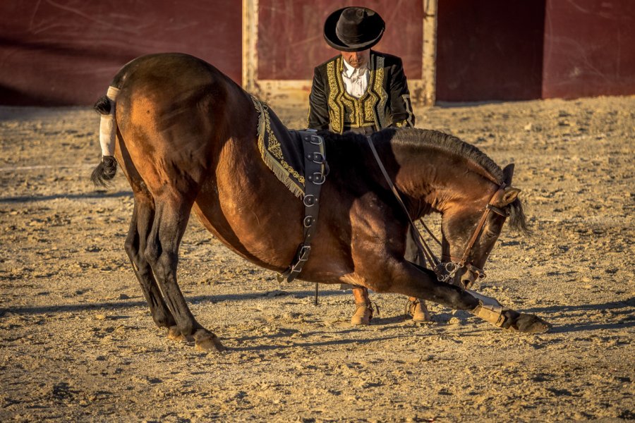 Spectacle équestre, Alhama de Granada. Fotogenix - Shutterstock.com